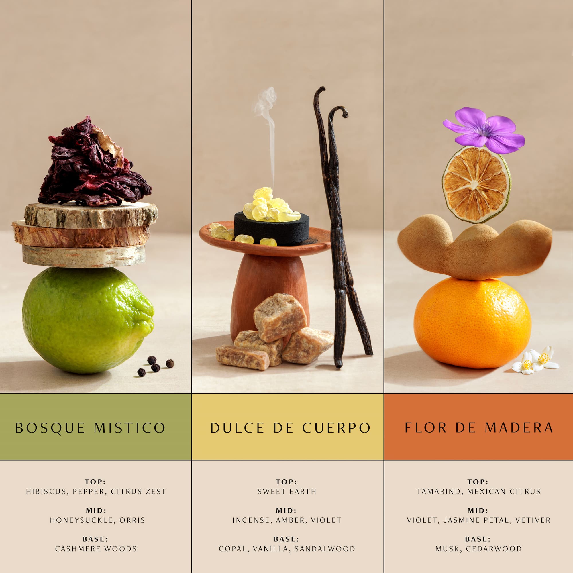 10ml Travel Fragrance Trio Gift Set – Nopalera