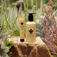 Cactus Body Cream - Dulce de Cuerpo