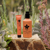 Cactus Body Cream - Flor de Madera