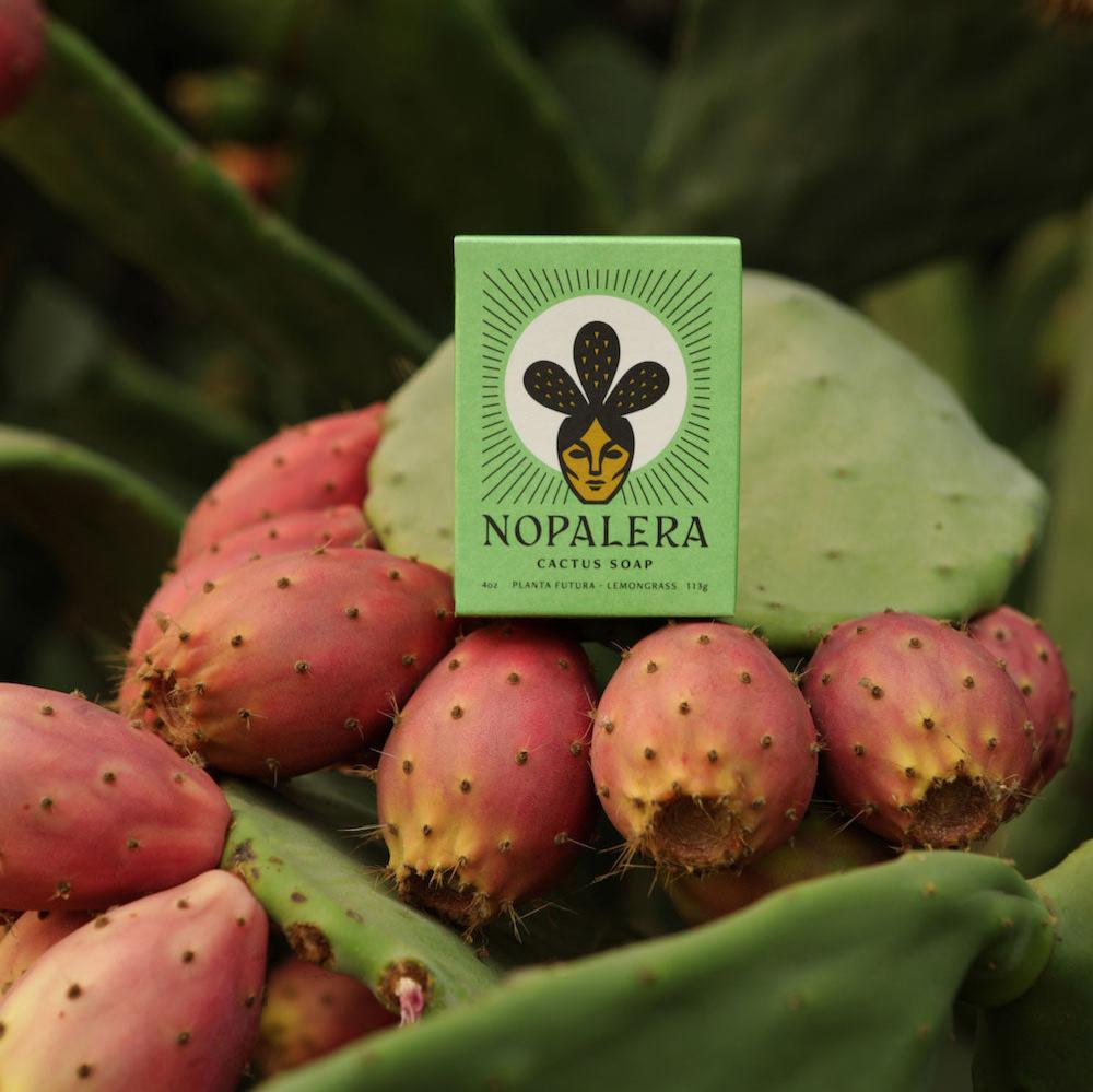 2-Pack Lemongrass Cactus Soap – Nopalera