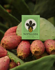 Nopalera cactus soap displayed among vibrant cactus fruit and greenery.