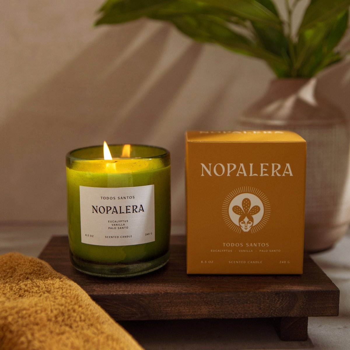 nopalera-candle-todos-santos-