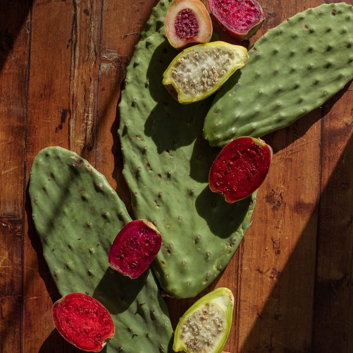 Nopal Cactus Vs. Aloe Vera — Everything You Need to Know