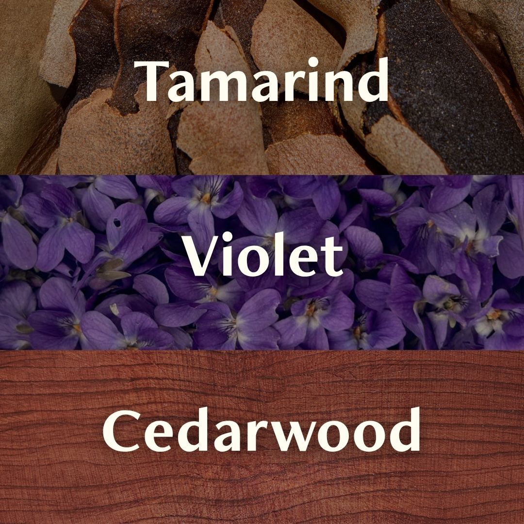 Tamarind, violet, and cedarwood fragrance notes shown in three horizontal sections, featuring brown tamarind pods, purple violet flowers, and warm reddish cedarwood.