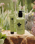 Nopalera Cactus  body cream Bosque Místico and hand cream on a rock with cacti and succulents in the background