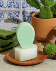Nopalera shampoo and conditioner bars displayed with cactus plants and aloe leaves