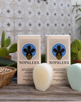 Nopalera solid shampoo and conditioner bars with packaging displayed with cactus plants