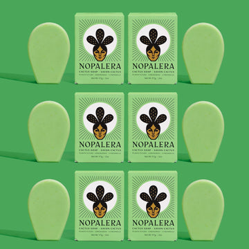 6-Pack Mini Lemongrass Cactus Soap