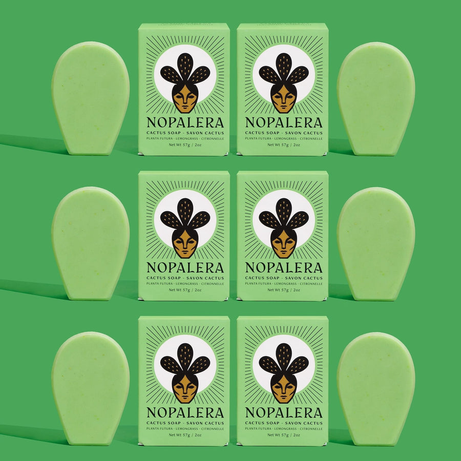 6-Pack Mini Lemongrass Cactus Soap